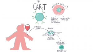 TRAILER WEBINAR Inmunoterapia en la Leucemia Linfoblástica Aguda (LLA): Otras opciones terapéuticas